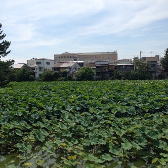 平野区 東住吉区 大阪府 の観光スポット こころから