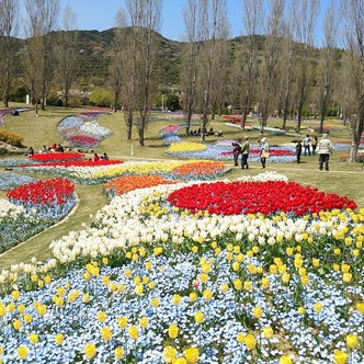 長田区 須磨区 垂水区 兵庫県 の公園 こころから 長田区 須磨区 垂水区 兵庫県 の公園 こころから