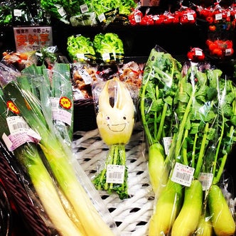 宗像 福津 古賀 福岡県 の市場 直売所 こころから