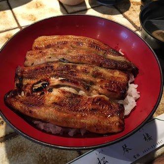 小田原 神奈川県 の飲食店 こころから