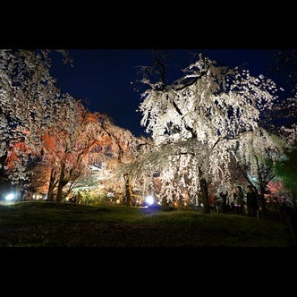 関西 近畿 地方の植物園 こころから