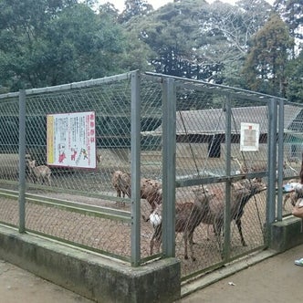 鹿島神宮駅周辺の観光スポット こころから