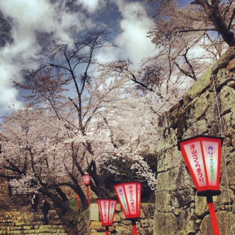 津山駅周辺の観光スポット こころから