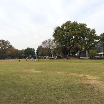 群馬県の公園 こころから