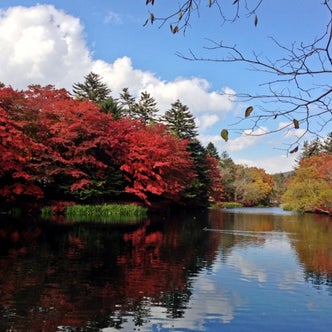 軽井沢 長野県 の湖 沼 池 こころから