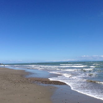 掛川・菊川・御前崎今昔写真帖 Museum 本・雑誌・漫画 掛川・菊川・御前崎今昔写真帖