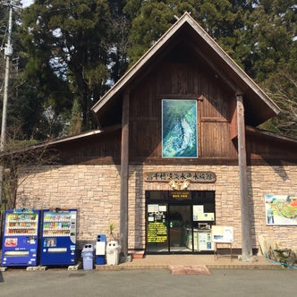 高千穂 五ヶ瀬 日之影 宮崎県 の水族館 こころから