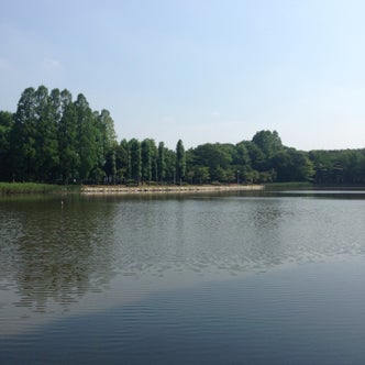 つくば 筑波山 茨城県 の公園 こころから