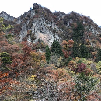 富岡 下仁田 群馬県 の観光スポット こころから