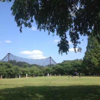 大宮 与野 埼玉県 の自然 名所 こころから