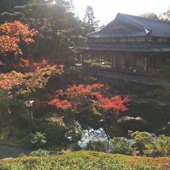 奈良県の庭園 こころから