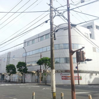 串間 日南 宮崎県 のショッピング こころから