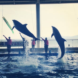 宮崎県の水族館 こころから