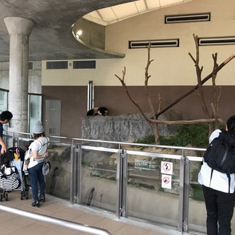 白浜駅周辺の観光スポット こころから