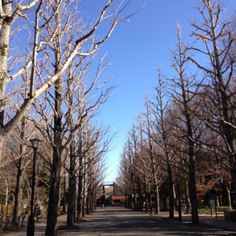 つくば 筑波山 茨城県 の公園 こころから