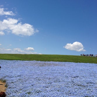 ひたちなか・大洗（茨城県）の観光スポット｜こころから