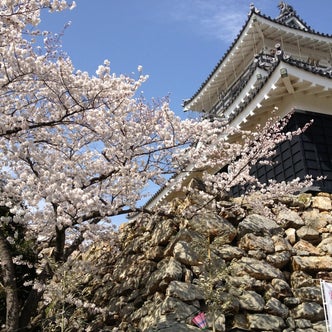 静岡県の城 こころから
