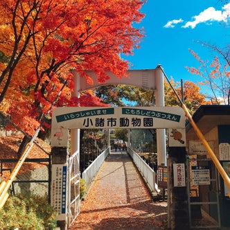 小諸駅周辺の観光スポット こころから