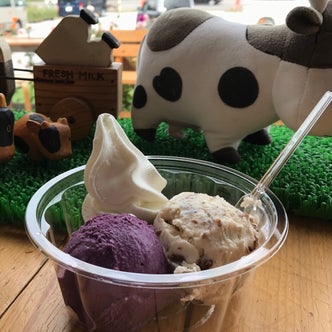 八雲 江差 長万部 北海道 のカフェ スイーツ こころから