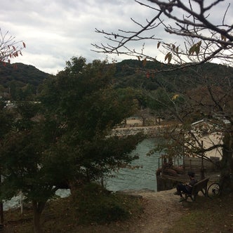 宇治駅周辺の観光スポット こころから