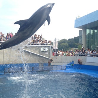 九州地方の水族館 こころから