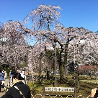 茗荷谷駅周辺の観光スポット こころから