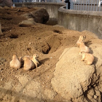 関東地方の動物園 こころから