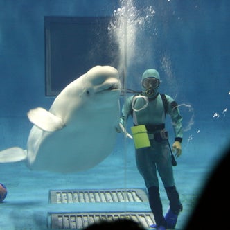 中国地方の水族館 こころから