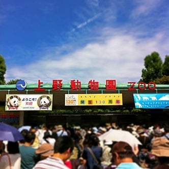 上野 浅草 両国 東京都 の動物園 こころから