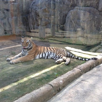 東海地方の動物園 こころから