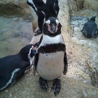 中国地方の水族館 こころから