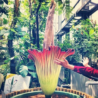 関東地方の植物園 こころから