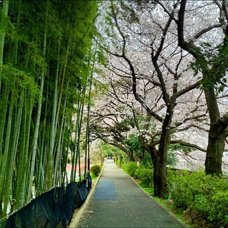 東京都の公園 4ページ目 こころから