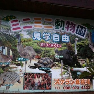 うるま 金武 沖縄県 の動物園 こころから