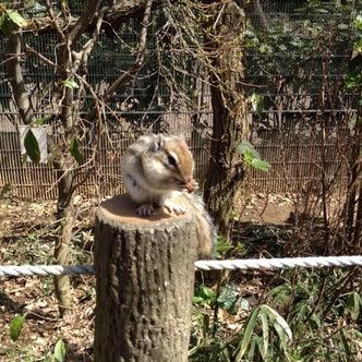 大宮 与野 埼玉県 の公園 こころから