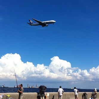 羽田空港周辺 東京都 の自然 名所 こころから