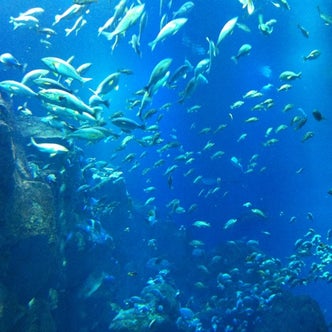 能代 男鹿 白神 秋田県 の観光スポット こころから