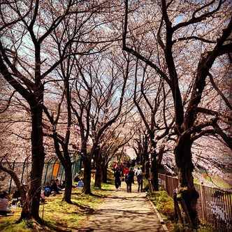 町田 東京都 の観光スポット こころから 町田 東京都 の観光スポット こころから