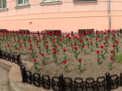 Пограничное управление шпалерная