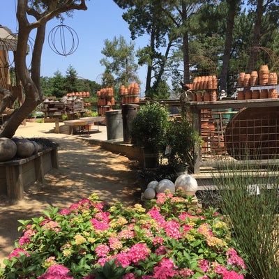 Cottage Gardens Of Petaluma In Petaluma Parent Reviews On Winnie