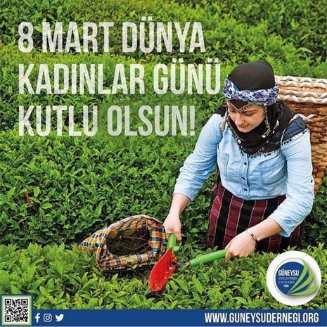 Türabi Baba Çay Bahçesi