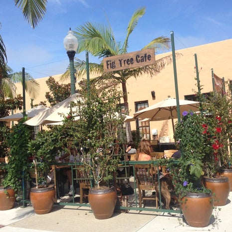 Fig Tree Cafe