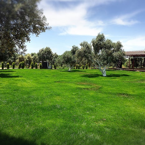 Kağan Bey Çiftliği