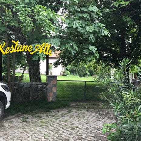 Kestane Altı
