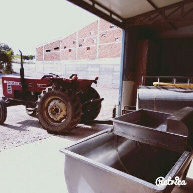 Çakır Süt & Et Ürünleri