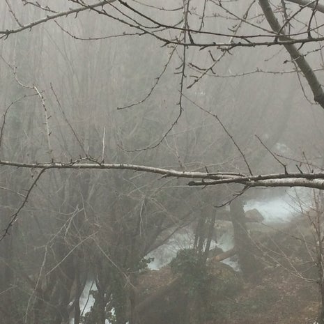 ŞahinKaya Restaurant & Cay bahçesi