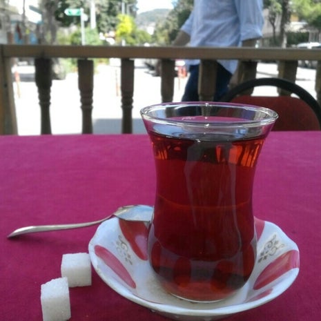 Kırçiçeği