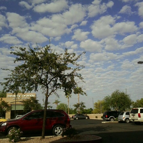 The Coffee Bean & Tea Leaf