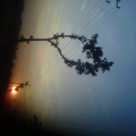 Warung jahe sariyun 2.3gingerbread