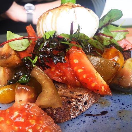 Harvest Cafe & Bakery